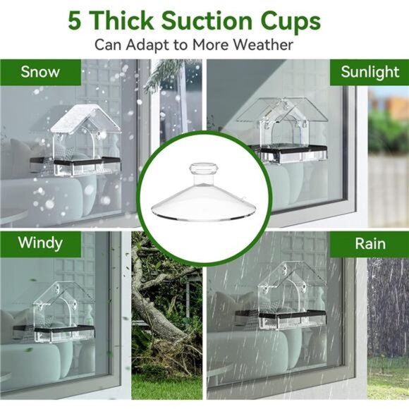 Clear Window Bird Feeder with 5 Extra Strong Suction Cups, Sturdy and Durable - Picture 2 of 7